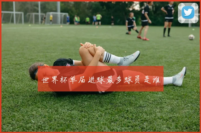世界杯单届进球最多球员是谁