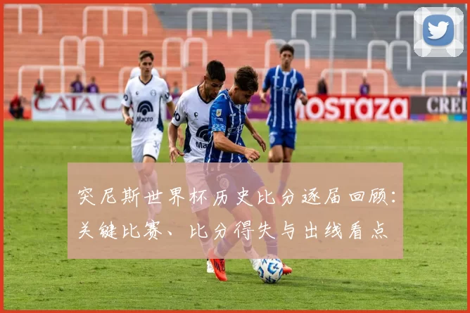 突尼斯世界杯历史比分逐届回顾：关键比赛、比分得失与出线看点