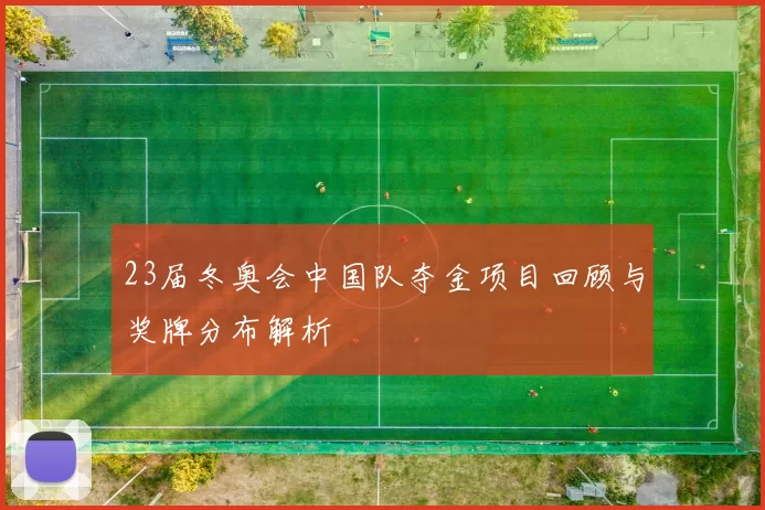 23届冬奥会中国队夺金项目回顾与奖牌分布解析