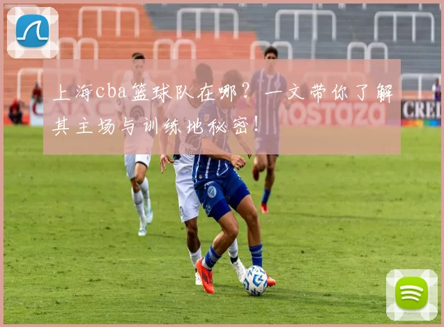 上海cba篮球队在哪？一文带你了解其主场与训练地秘密！