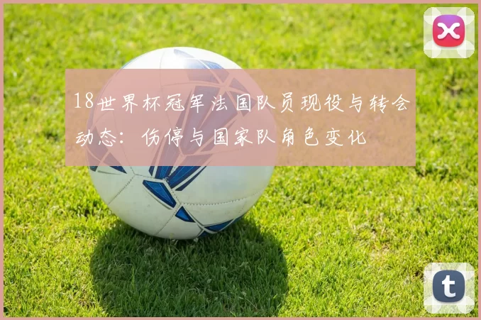 18世界杯冠军法国队员现役与转会动态：伤停与国家队角色变化