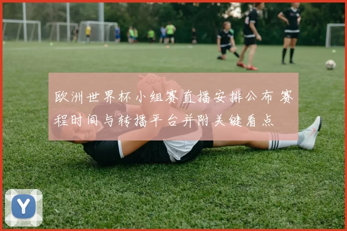 欧洲世界杯小组赛直播安排公布 赛程时间与转播平台并附关键看点